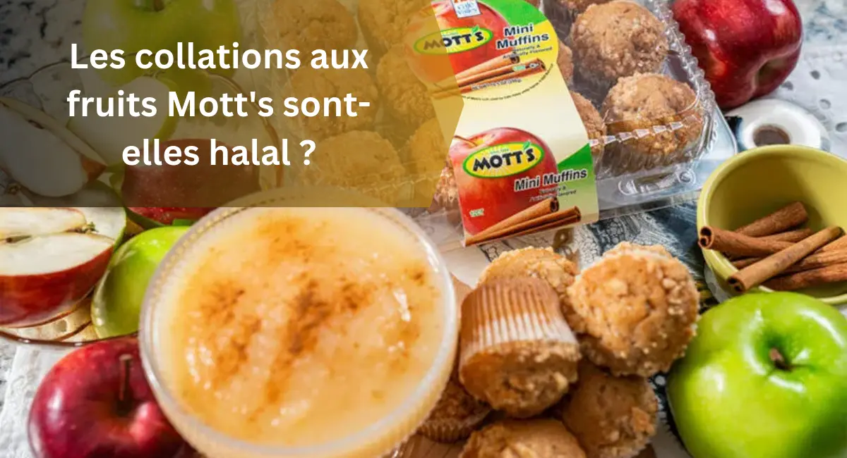 Les collations aux fruits Mott's sont-elles halal
