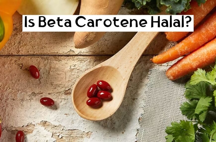 Le bêta-carotène est-il halal ou haram ?