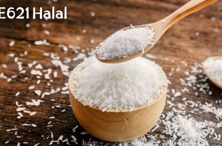 Le E621 est-il halal ?