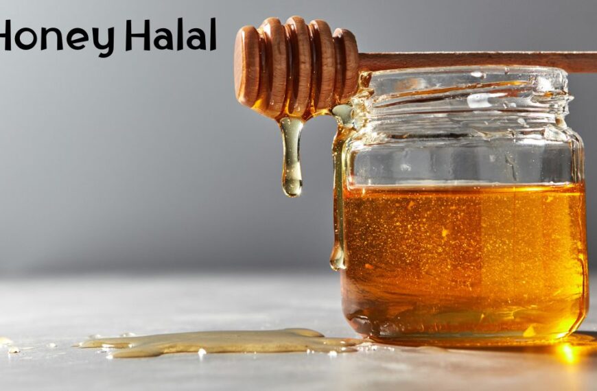 Le miel est-il halal